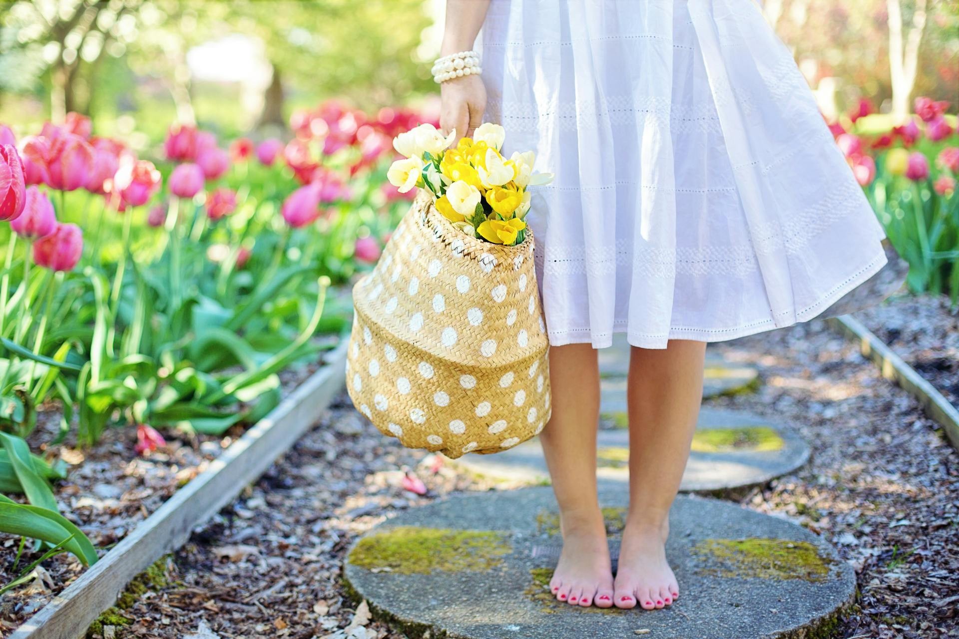 Chic Dresses for Every Occasion